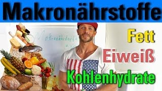 Makronährstoffe Eiweiß Kohlenhydrate Fett [upl. by Polky]