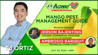 Greenbug Media  Agway Mango Pest Management Guide Webinar [upl. by Wsan]