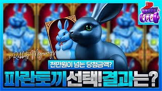 슬롯슬롯실시간 🚨 5래빗 메가웨이즈  파란토끼 선택결과는 천만원이 넘는 당첨금액🚨 온라인슬롯 [upl. by Htidirrem845]