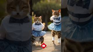 found a cat edm remix bass asmr dubstep cat music catlover playcat [upl. by Domini884]