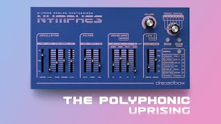 NYMPHES  6Voice Analog Polyphonic Synthesizer by DREADBOX [upl. by Aiehtela]