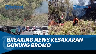 BREAKING NEWS Kebakaran di Kawasan Gunung Bromo [upl. by Nnyledam]