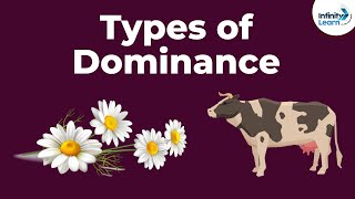 Genetics  Dominance and Its Types  Lesson 8  Dont Memorise [upl. by Atinas]