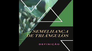 SEMELHANÇA DE TRIÂNGULOS DEFINIÇÃO [upl. by Yenittirb864]