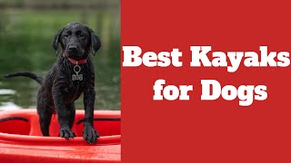 Get Your Pup Paddling Best kayaks for dogs [upl. by Anirtruc]