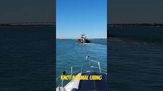 Tug Tries to Race Searay  DIY with Kevin [upl. by Adey]