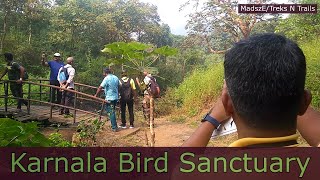 Birding with friends at Karnala Bird Sanctuary [upl. by Tacye]