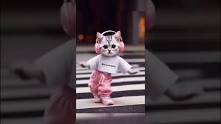 kaisa laga cat ka dance 🤓♥️ ll beautyfulcat yt cat cutecat catdance [upl. by Ettelliw481]