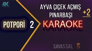 Ayva Çiçek Açmış Pınarbaşı Karaoke [upl. by Dominik617]