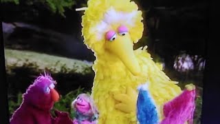 Sesame Street Jam but only when Big Bird is onscreen [upl. by Nylime]