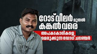 റോട് വീലർ മുതൽ കങ്കൽ വരെ അപകടകാരികളെ മെരുക്കുന്ന ഡോഗ് ചലഞ്ചർ  Viral Star  Dog Show  Leash Talks [upl. by Ferullo]