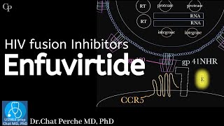 HIV therapy Enfuvirtide Mechanism of action 【USMLE Pharmacology】 [upl. by Wynne717]