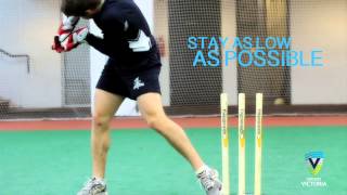 Wicketkeeping  Standing Up to the Stumps [upl. by Sreip]