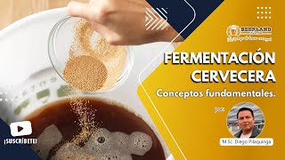 Fermentación Cervecera [upl. by Art]