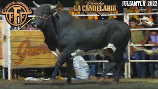 Es el Toro con la mejor línea genética de RANCHO LA CANDELARIA  Jaripeo en Juliantla Guerrero 2022 [upl. by Jeffery]