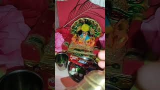 Hare Krishna 🙏🌼laddugopal 🙏youtubeshorts ❤️ [upl. by Kalam11]