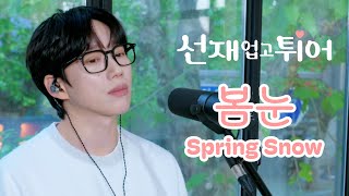 10CM  십센치  선재 업고 튀어 OST 봄 눈  Spring Snow [upl. by Viddah]