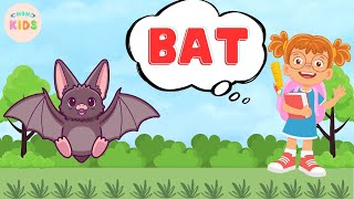 Bat Facts For Kids 🦇 Learn All About Bats  MON Kids [upl. by Corby59]