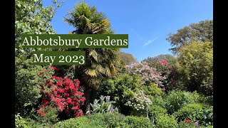 Abbotsbury Gardens Dorset in May 2023 Plants in flower including Puya berteronia [upl. by Dewees288]