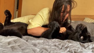 Luna the panther and family meet Vikulya😸❤️ENG SUB [upl. by Adihahs]