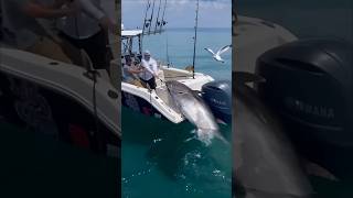 quotMassive Tuna Caught on Rod Epic Fishing Struggle in the SeaFishing Pesca Pêche Angeln Pesca [upl. by Criswell]