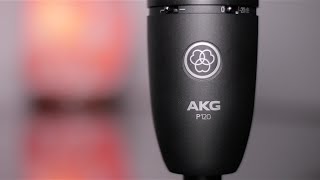 AKG P120 Condenser Microphone  The Audio Setup [upl. by Anaej216]