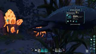 ARK Survival Ascended ARCHELON how to tamecomo tamear [upl. by Thadeus]