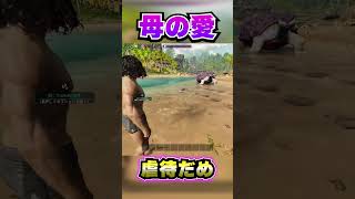 古代に生息していた人食い巨大カメ【ARK SURVIVAL ASCENDEDアークASA】ARK [upl. by Regor403]