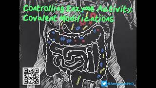 404 BCH3023 Controlling Enzyme Activity by Covalent Modifications [upl. by Eimmak]