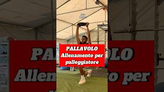 Pallavolo Allenamento per il palleggiatore [upl. by Dorotea]