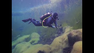 Diving Mt Gambier [upl. by Onabru606]