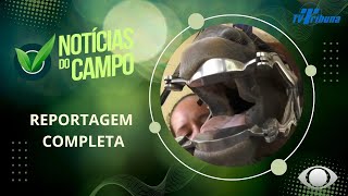 ODONTOLOGIA EQUINA PAUDALHO PGM NOTÍCIAS DO CAMPO N104 271024 [upl. by Leanna]