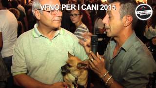 Le Interviste Imbruttite  Vogue Fashion Night Out 14 Parte 2 [upl. by Ertsevlis855]