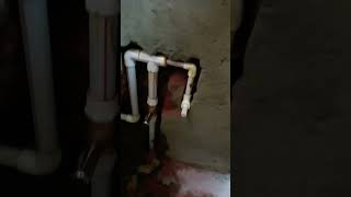 Indian toilet flush wall fitting repairing workviral plumbing [upl. by Elfrida]