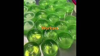 DIY Aloe Vera Gel Making Unveiling the Secrets to Healthy Skin 🌿✨ shorts [upl. by Wilsey308]