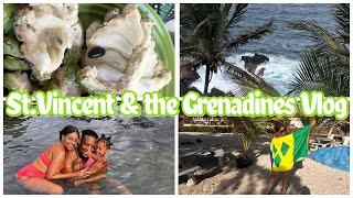 TRAVEL VLOG TO ST VINCENT SUPRISING FAMILY stvincentandthegrenadines travelvlog vacation vincy [upl. by Tymothy848]