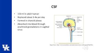 Neuroanesthesia Keyword Review ITE  Dr Poore [upl. by Adnilrem339]