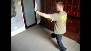 Cheng style Baguazhang 5th palm change [upl. by Harragan]