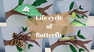 Life Cycle of Butterfly  Model for Students Easy Model of Science [upl. by Hollenbeck]