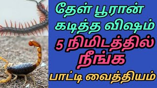 தேள்பூரான் கடித்தவிஷம் நீங்கpooran kadithal enna seiyavendumPoochiKadi MarunthuTamilgkhomely tips [upl. by Herwin]