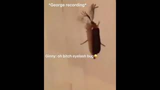 EYELASH BUG  FUNNY TIKTOK VIDEO [upl. by Aitnas909]