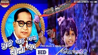 Mujhe Chad Gaya Neela Rang Rang Jai Bhim Song Dj Akash [upl. by Noleta]