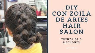 DIY CON ZOILA DE ARIES HAIR SALON TRENZA DE 5 MECHONES  SOY ANNDY [upl. by Keiko]