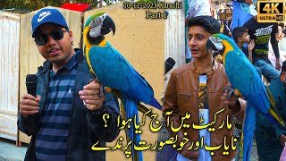 Lalukhet Exotic Birds Parrots and Rooster Market 101223 Karachi Part 1 سوق الطيور والببغاء الشهير [upl. by Eidurt]