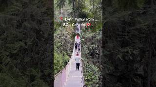 Walking in 📍 Lynn Valley Park  BC  Canada 🇨🇦  Please consider supporting me ❤️‍🩹🙏🥰 [upl. by Irma387]