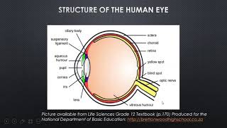 LIFE SCIENCES HUMAN EYE GRADE 12 [upl. by Lacym]