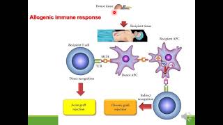 Immunosuppressive drugs [upl. by Sicard]