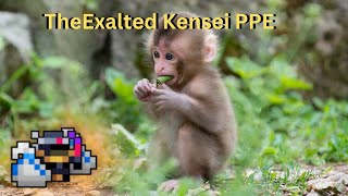 The Exalted Kensei PPE  ROTMG [upl. by Secundas]