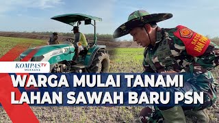 Warga Mulai Tanami Lahan Sawah Baru PSN [upl. by Etnoek159]