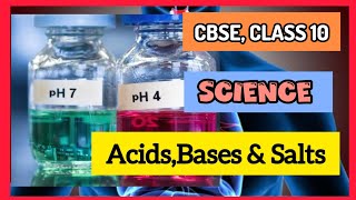 AcidsBases and salts Class 10 Science Chapter 2 Class 10 Chemistry [upl. by Maryann735]